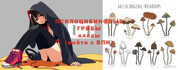 2c-b Баксан
