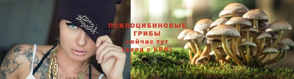 2c-b Баксан